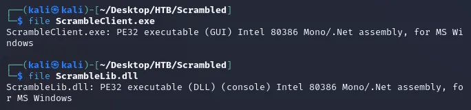 file EXE and DLL