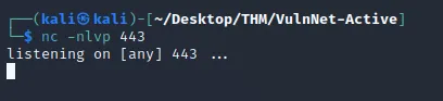 netcat