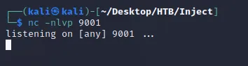 netcat