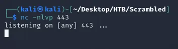 netcat