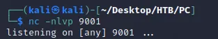 netcat