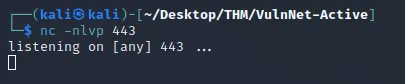 netcat