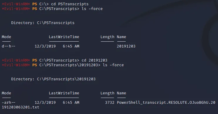 PowerShell transcript log file