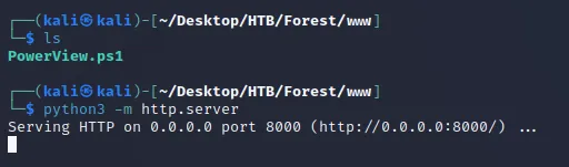 python server