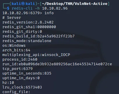 redis info