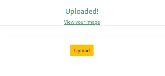 uploaded link
