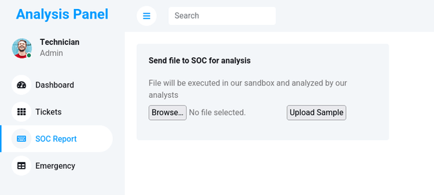 analysis panel SOC report