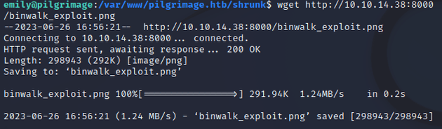 download binwalk_exploit.png