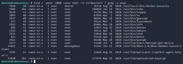 find SUID bit set file /usr/local/bin/docker-security