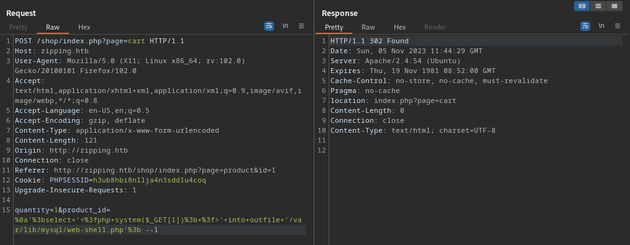 burp suite SQL injection web shell