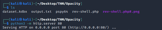 python server pspy