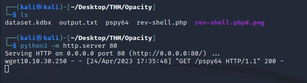 python server pspy 200